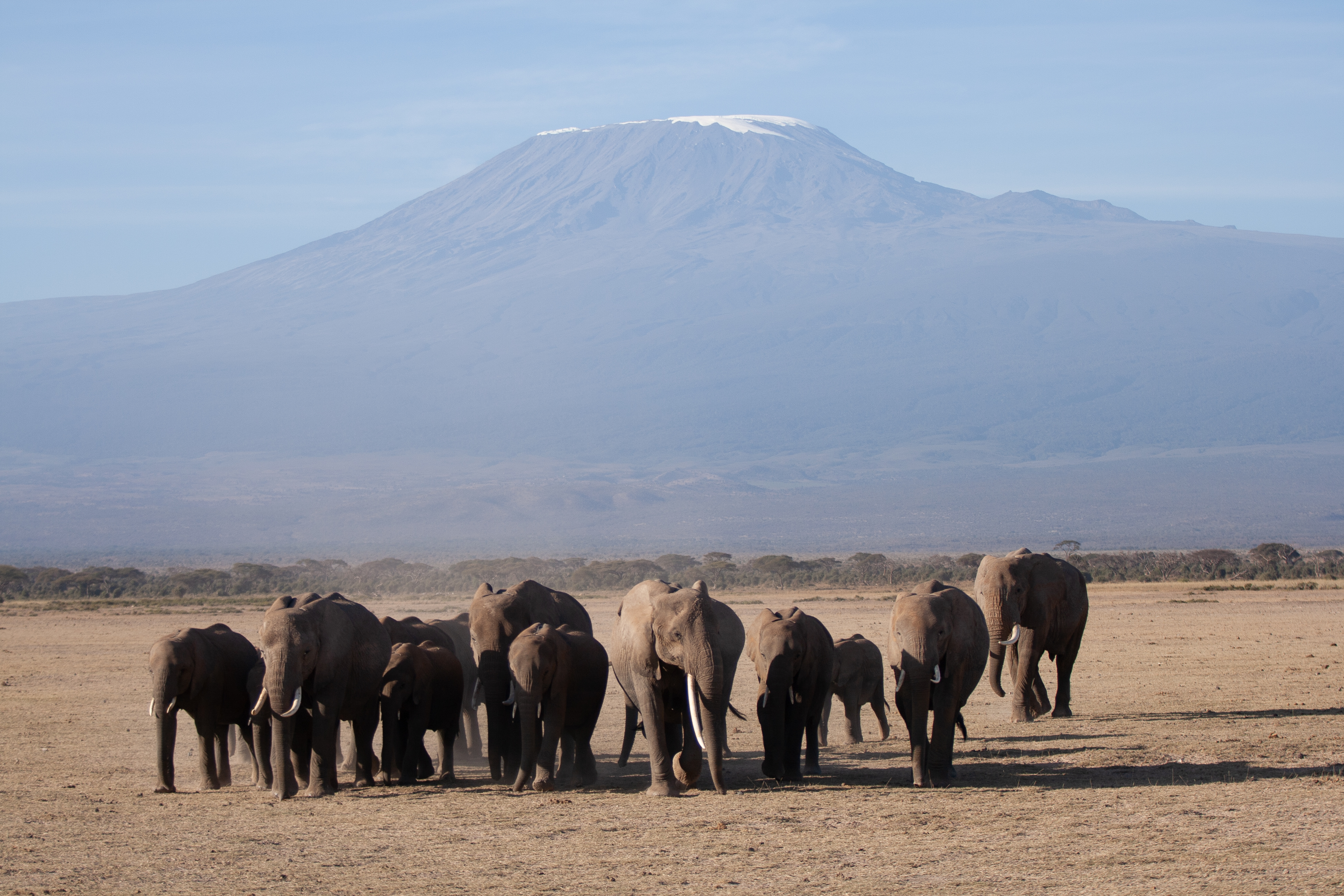 Amboseli Park Day 2 215