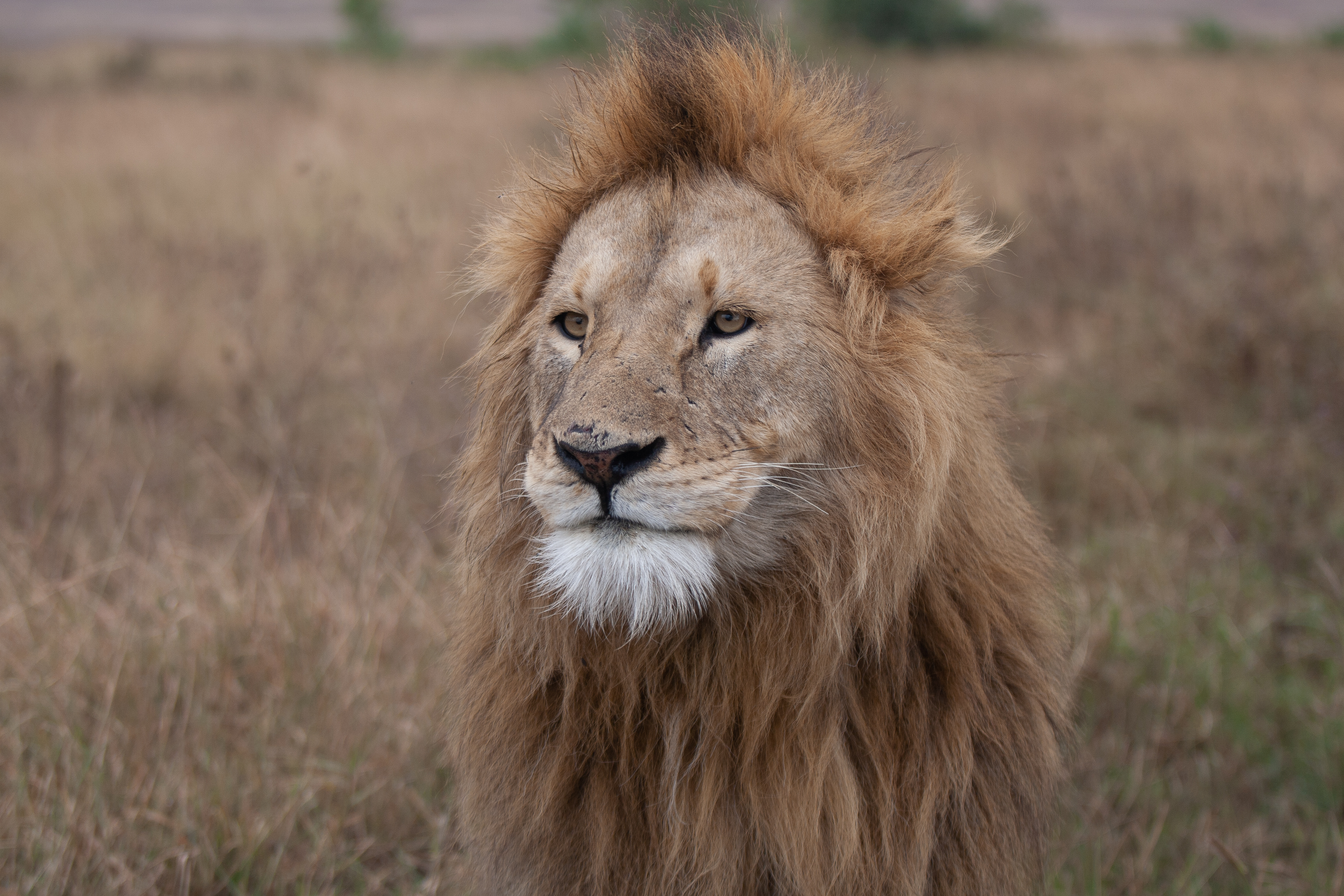 Ngorogoro Crater 118